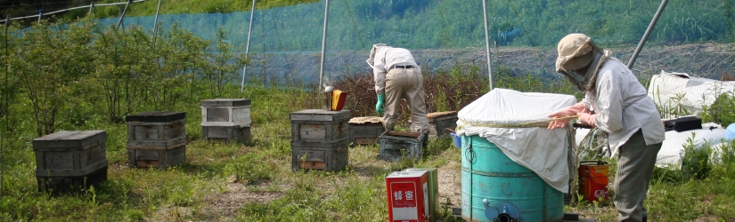 大和高原ブルーベリー園のブルーベリー蜂蜜